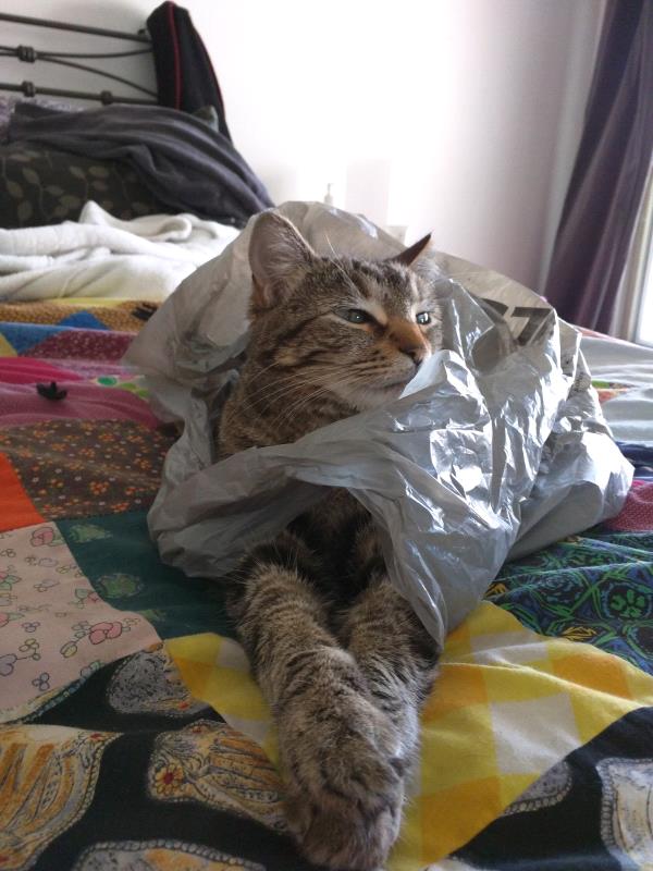 /Images/uploads/Humane Society of Utah/HSUCalendar/entries/1038thumb.jpg